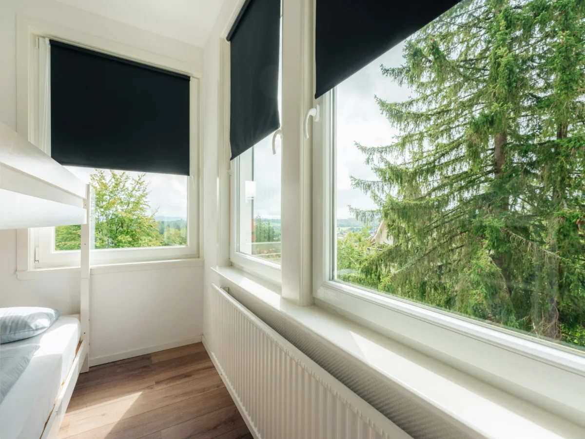 Braunlage Dr Barner Strasse SE